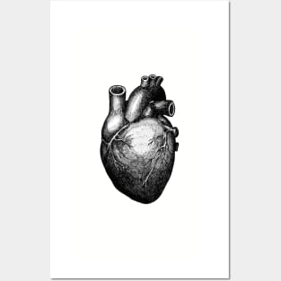 Real Heart Posters and Art